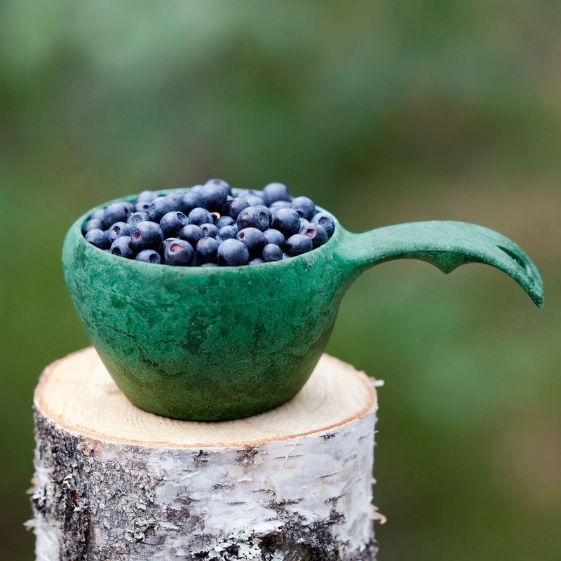Taza Kupilka verde llena de arándanos sobre un tronco